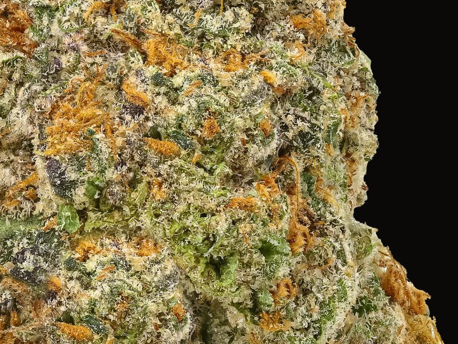YUZUHA — macro trichomes