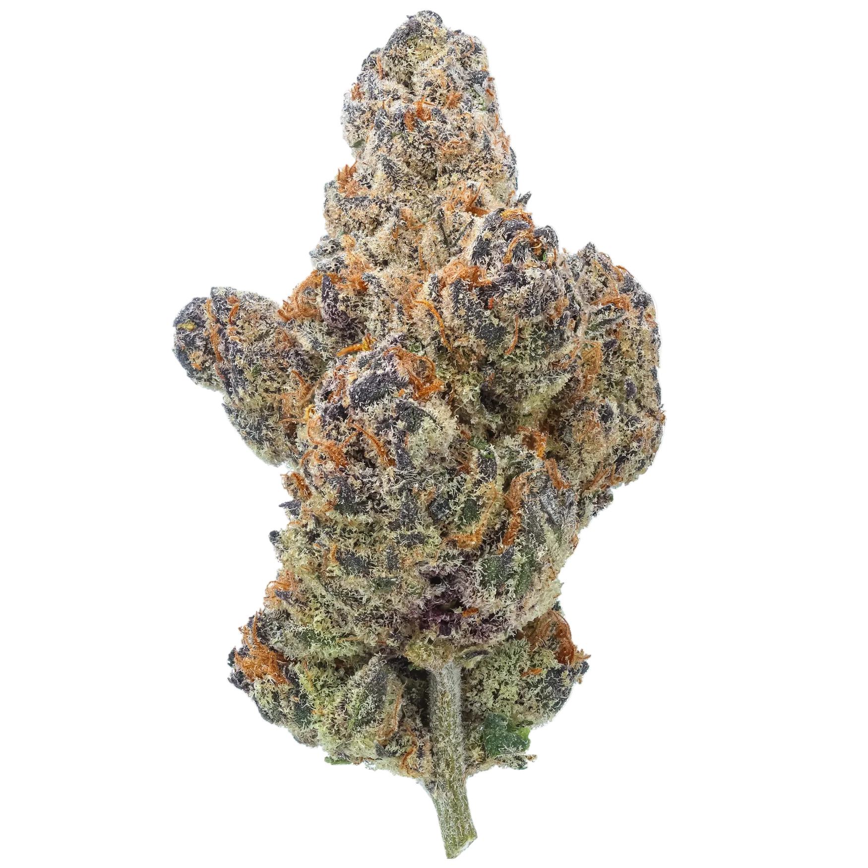 Pink Lady CBD