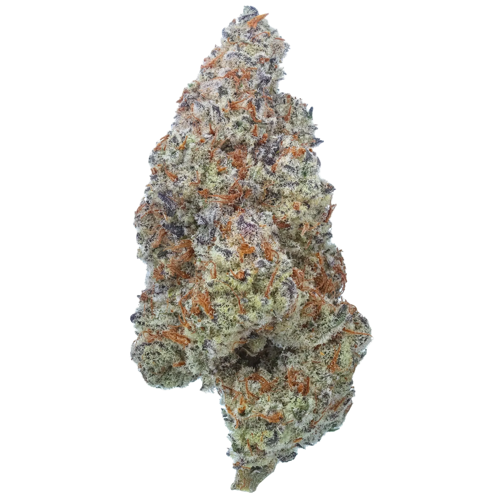 Yuzu OG CBD